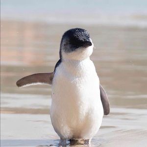 Meet your Posher, Carrie